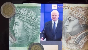Wzrost złotego podbije inflację. NIK ostrzega, NBP nie widzi problemu 