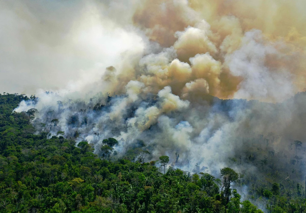 Pożar Amazonii.