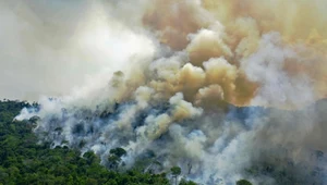 Amazonia emituje już więcej CO2 niż pochłania