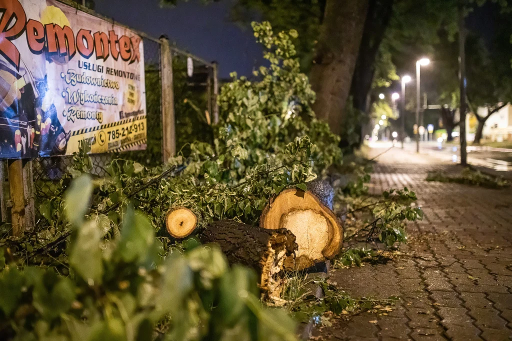 Tam strażacy brali udział w działaniach związanych m.in. z usuwaniem powalonych drzew. Nawałnica uszkodziła też wiele dachów i spowodowała awarie prądu.
