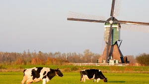 Coraz mniej chętnych z Europy Wschodniej do pracy w holenderskim rolnictwie i ogrodnictwie