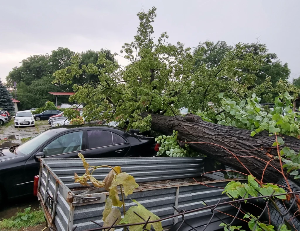 Synoptyk z Biura Prognoz Instytutu Meteorologii i Gospodarki Wodnej Małgorzata Tomczuk ostrzega, że czekają nas dziś w nocy burze na terenie całego kraju. - Czeka nas upalna noc, szczególnie na wschodzie - dodaje. Źródło tekstu: PAP