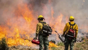 Zaczyna się epoka wielkich pożarów lasów