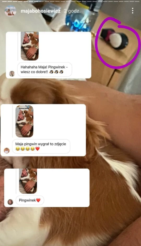 Relacja Mai Bohosiewicz instagram.com/majabohosiewicz/ Relacja Mai Bohosiewicz instagram.com/majabohosiewicz/