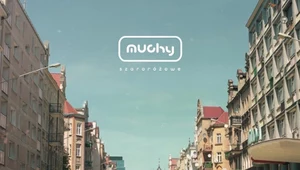 Muchy "Szaroróżowe": Notoryczni debiutanci, niepoprawni nostalgicy [RECENZJA]