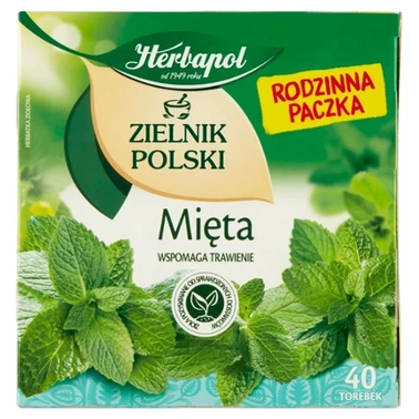 Herbapol Zielnik Polski Herbatka ziołowa mięta 80 g (40 x 2 g) - 0