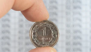 Złoty w tarapatach? Czynniki rynkowe nie sprzyjają naszej walucie