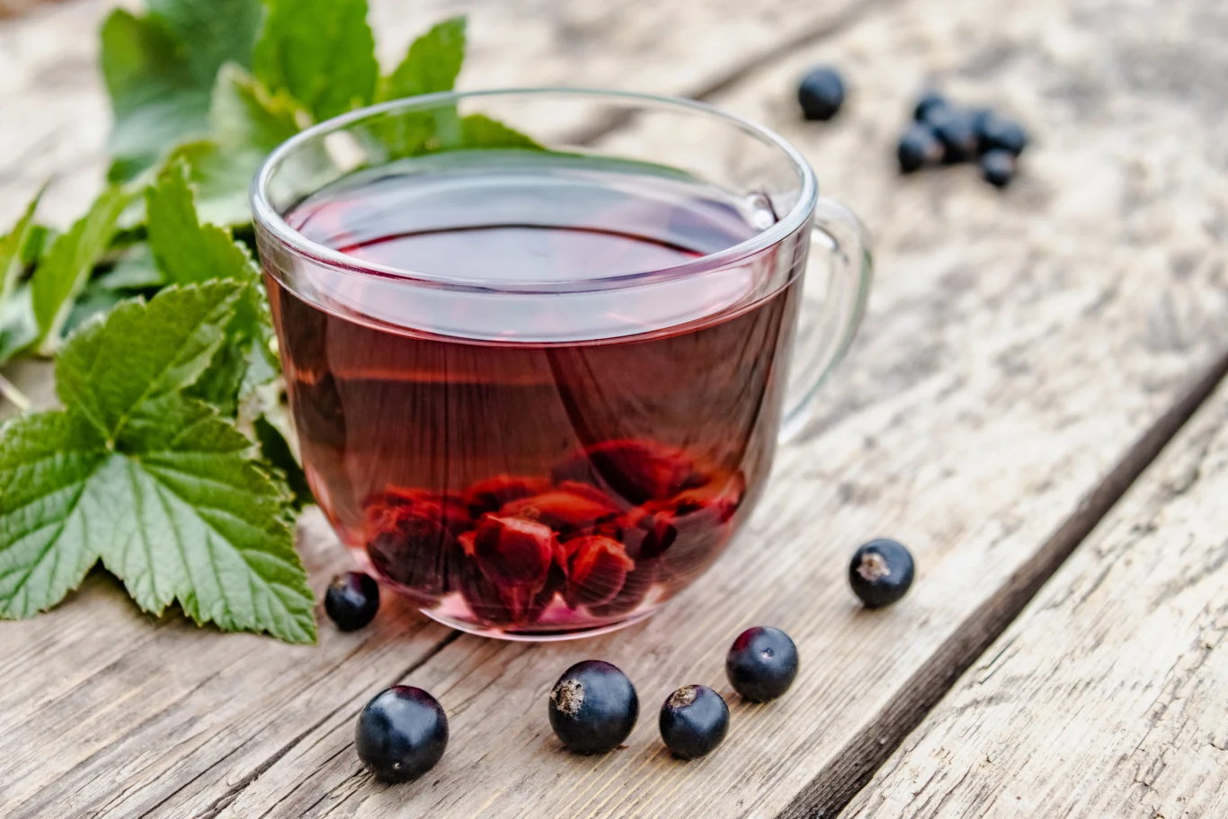 Herbata z czarnej porzeczki