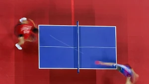 Tenis stołowy