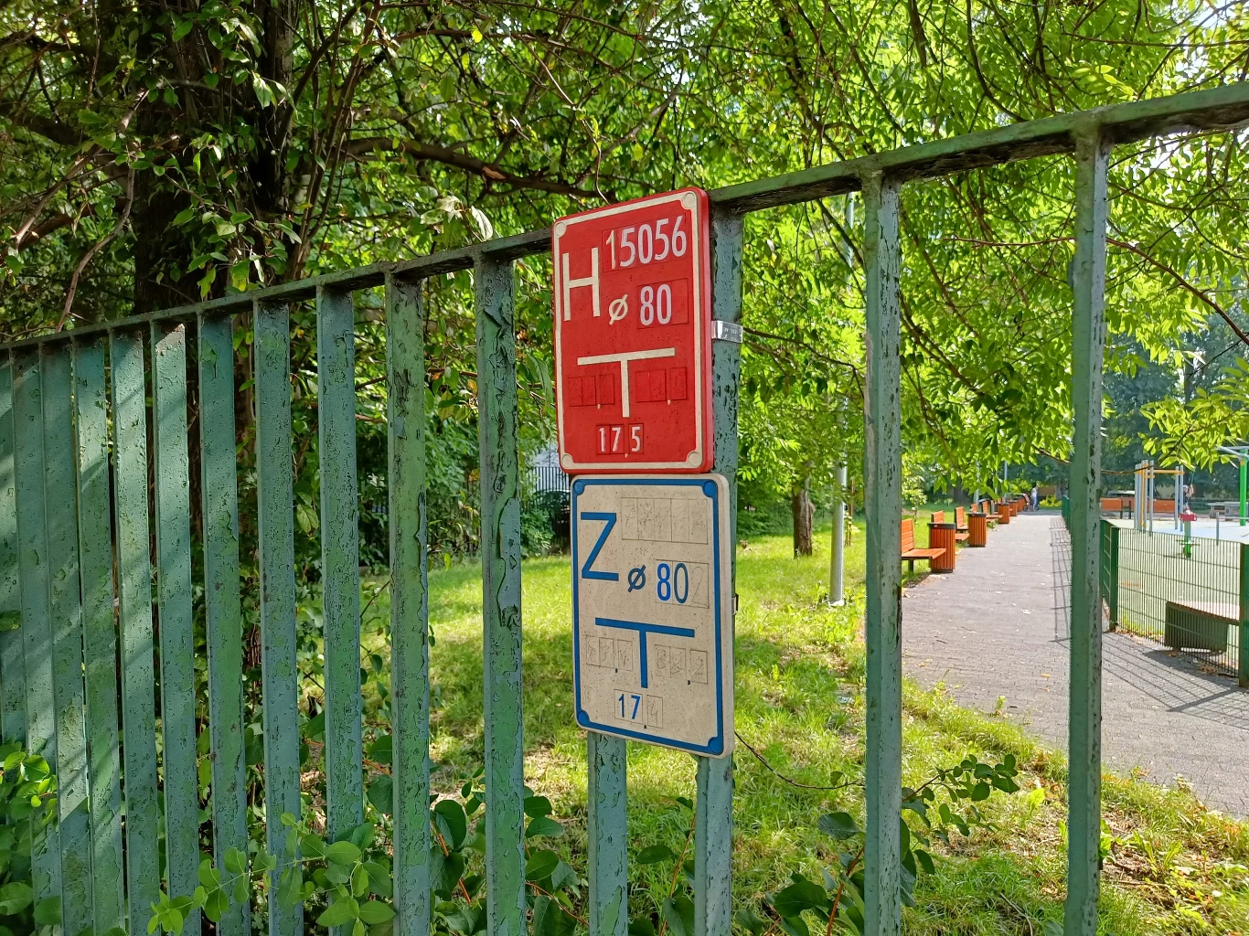 Zdjęcie wykonane aparatem głównym OnePlus Nord 2 5G