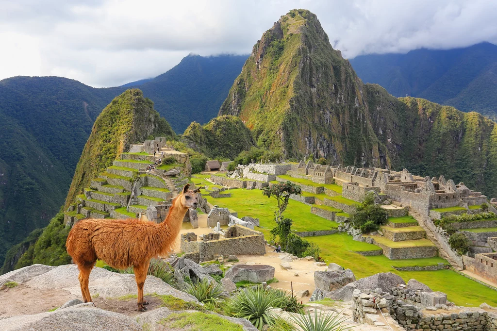 Machu Picchu ukryte jest wysoko w górach - widoki zapierają tutaj dech 