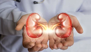 Wodonercze może powodować charakterystyczne bóle w okolicach lędźwiowych