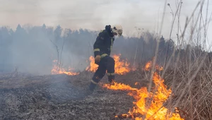 Dodatkowe kary dla wypalających łąki!