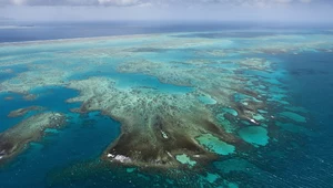 Widok na Wielką Rafę Barierową z Queensland 