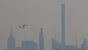 ​Nowy Jork: Jakość powietrza najgorsza od 15 lat