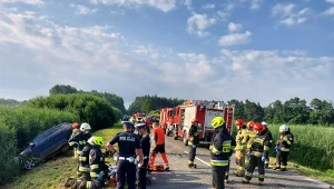 Miejsce zderzenia busa i pojazdu osobowego na drodze krajowej nr 784 w miejscowości Wygoda