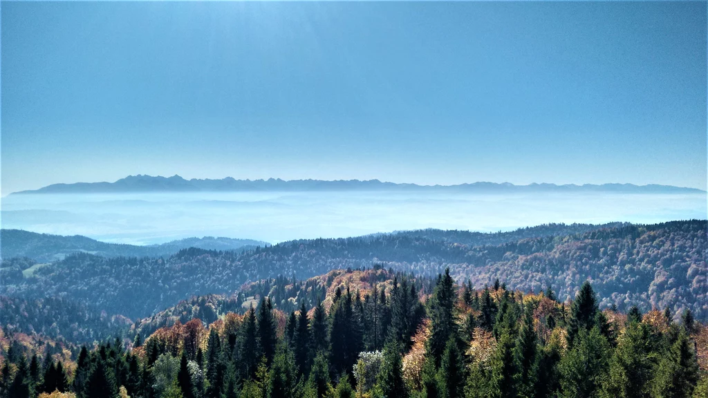 Przy dobrych warunkach z wieży widokowej dostrzeżemy Tatry na horyzoncie