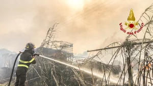 Wielkie pożary na Sardynii. Włochy proszą o pomoc