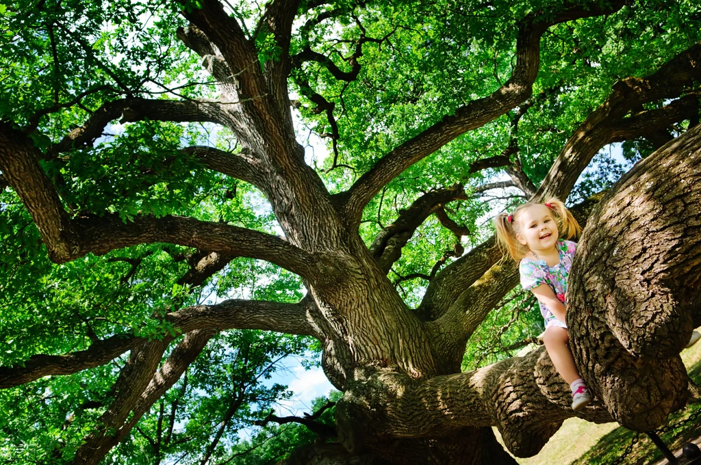 Naukowcy ustalili, że przebywanie wśród drzew ma pozytywny wpływ na rozwój dzieci