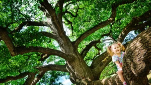 Dzieci, które spędzają więcej czasu blisko lasów lepiej się rozwijają