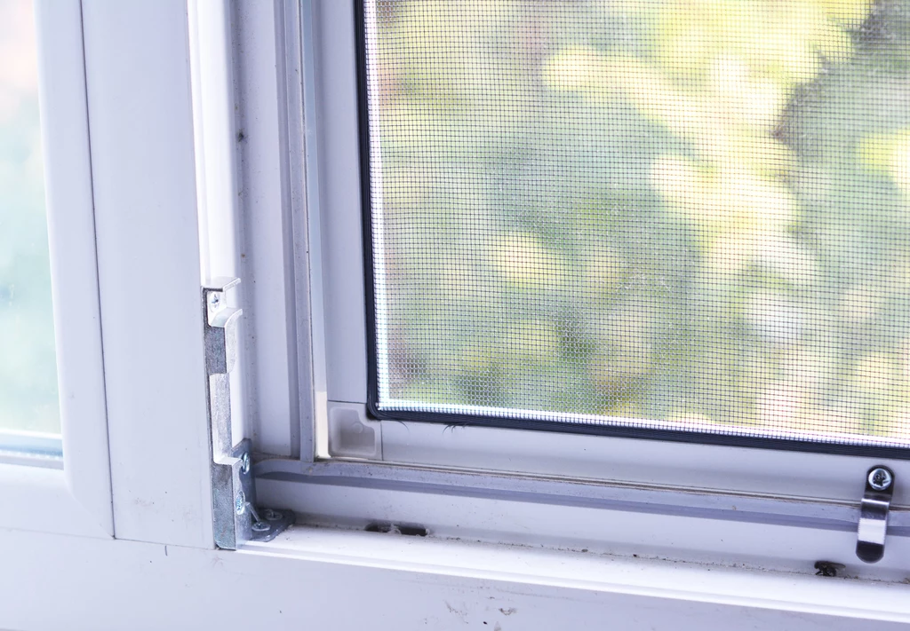 Moskitiera w oknie chroni mieszkanie przed owadami