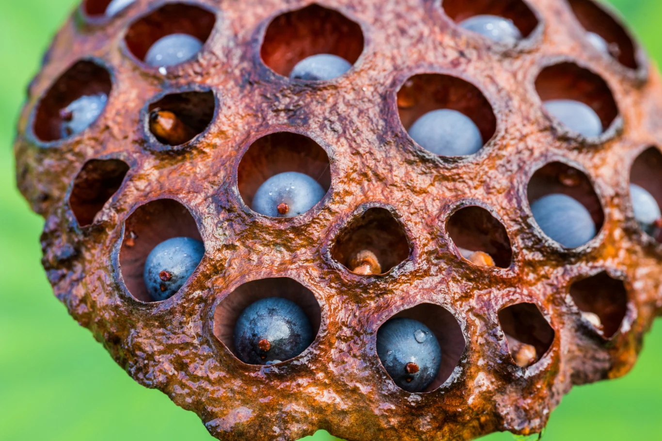 Niektórzy uważają, że obrazy "naturalne" to nic w porównaniu z tymi preparowanymi przez grafików Niektórzy uważają, że obrazy "naturalne" to nic w porównaniu z tymi preparowanymi przez grafików