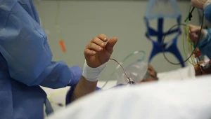 zdjęcie ilustracyjne