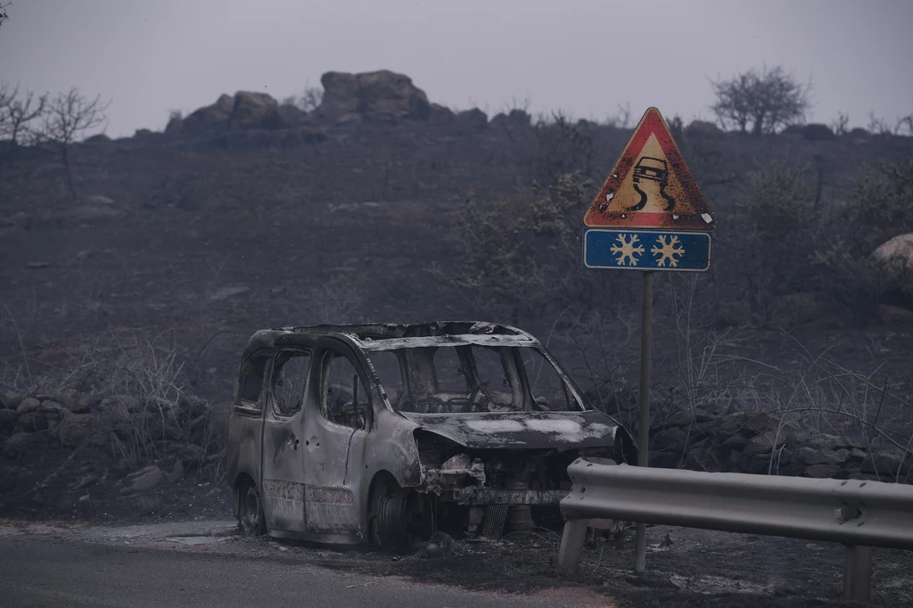 Pożary na Sardynii to konsekwencja zmian klimatycznych