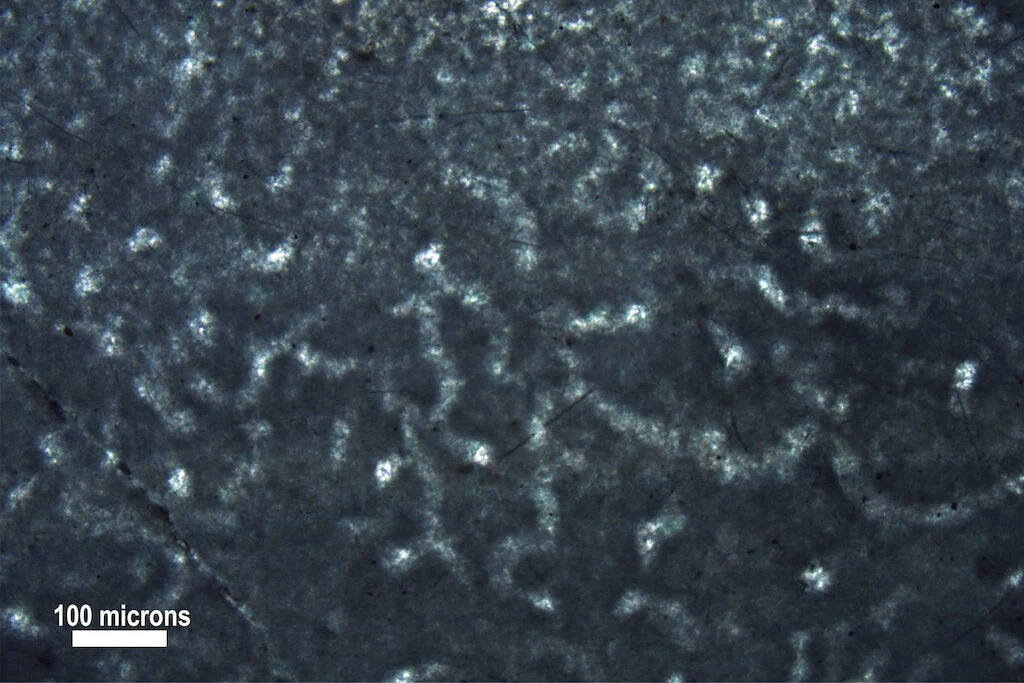 Mikroskopijne struktury kalcytu odsłaniające białkowy szkielet pradawnej gąbki. Fot. E.C. Turner