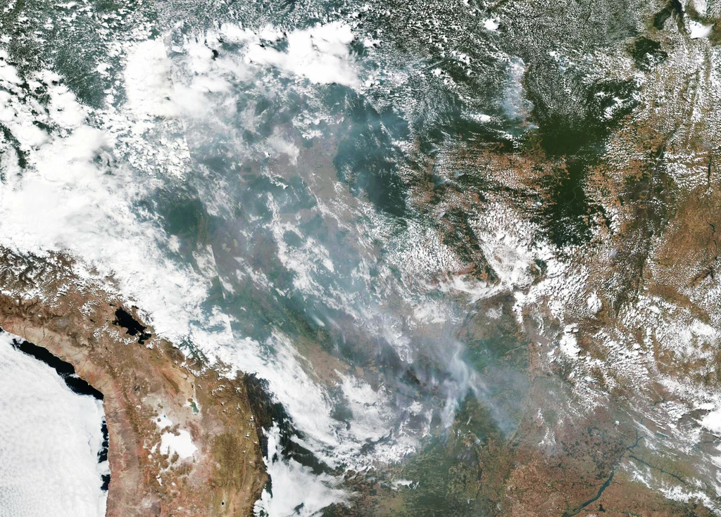 Dym z pożarów Amazonii w 2019 r. widziany z kosmosu.