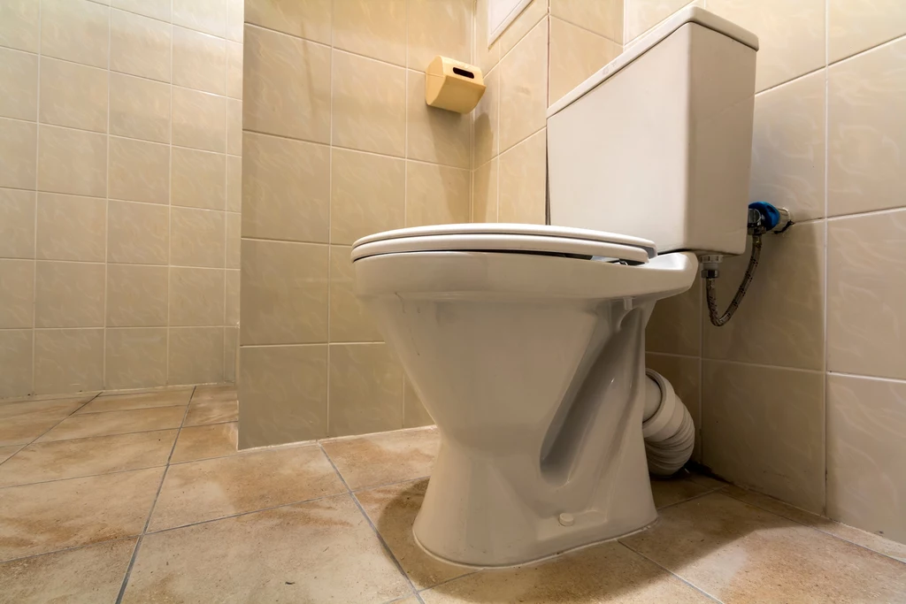 Trwa wybór najlepszej toalety w USA. Wyróżniono już 10 finalistów