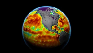 Naukowcy: Katastrofa klimatyczna jest nieunikniona