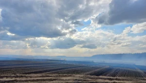 Strażacy walczą z pożarem pól i lasu w pow. złotowskim (Źródło: OSP Lotyń)