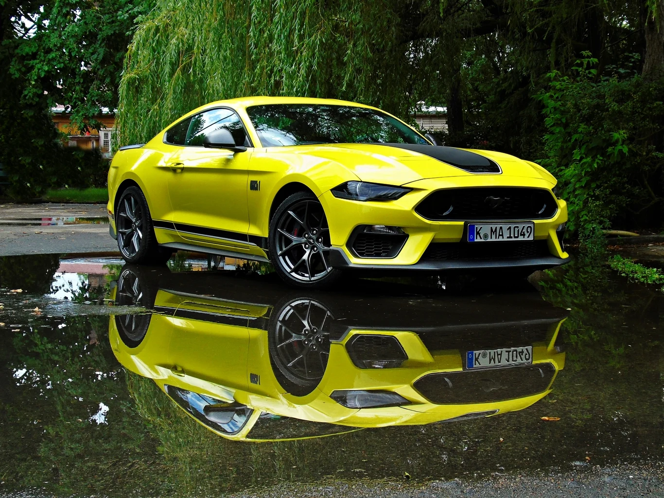 Ford Mustang Mach 1 Ford Mustang Mach 1