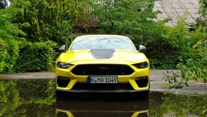 ​Ford Mustang Mach 1 - rasowy koń wyścigowy