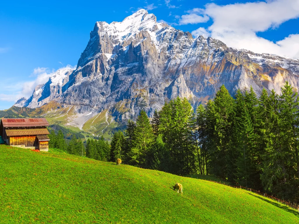 Szwajcaria skusi wielbicieli wędrówek w oszałamiających okolicznościach przyrody 