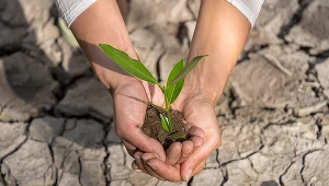 Problemy rolnictwa będą przekładać się na produkcję żywności i jej ceny