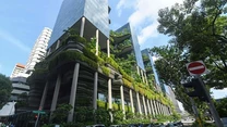 W dzielnicy biznesowej Singapuru możemy także znaleźć wielkie szklarnie, w których są egzotyczne rośliny z pięciu kontynentów. Znajduje się tam także sztuczna góra, a nawet wodospad. 