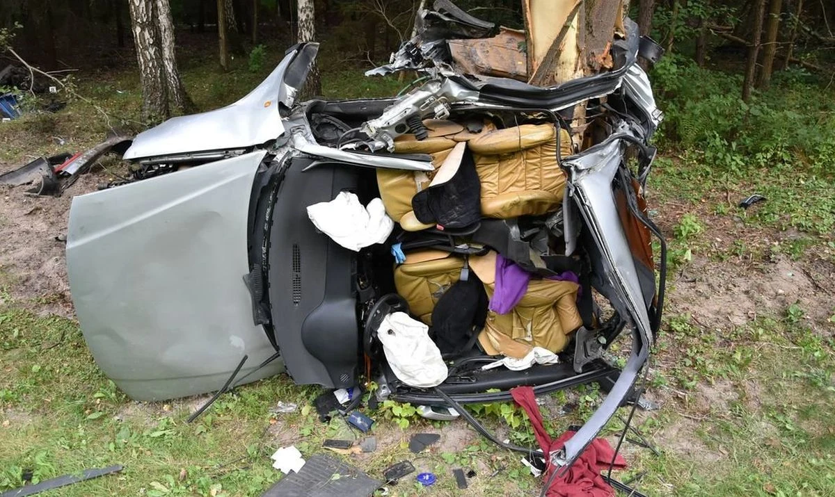 Śmiertelny wypadek w miejscowiści Borki na DK 19 Śmiertelny wypadek w miejscowiści Borki na DK 19
