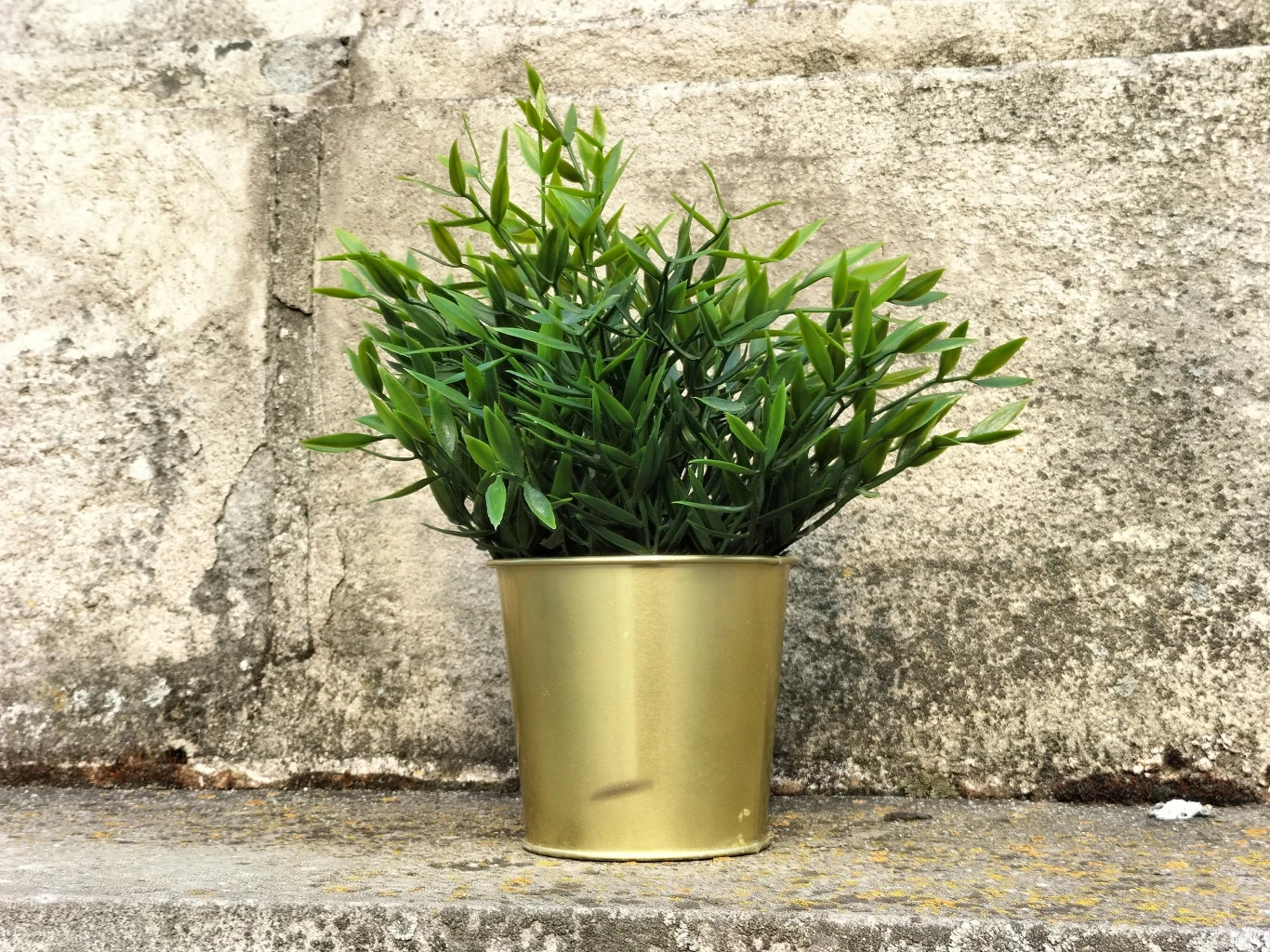 Zdjęcie wykonane obiektywem głównym Oppo A74 5G 