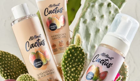 kontigo all about cactus