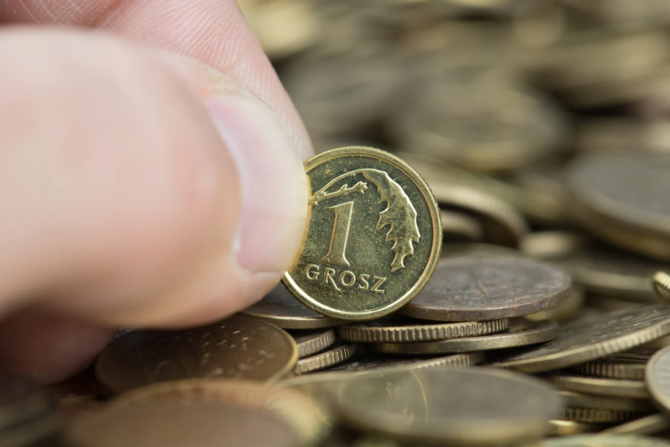 Moneta jednogroszowa zakopana w doniczce ma przyciągnąć bogactwo. 