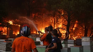 ​Grecja: Pożary podeszły pod Ateny, ewakuacja przedmieść
