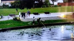 Gdy kobieta zauważyła reklamówkę z kociętami, bez chwili wahania wskoczyła do wody, aby je uratować