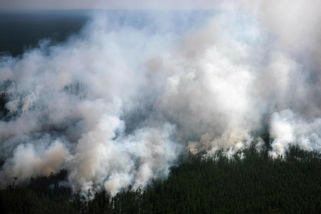 Pożary lasów na Syberii praktycznie już nie gasną przez cały rok