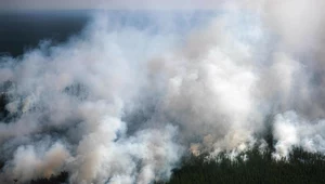 Fala upałów na Syberii. Może pogorszyć się klimat Ziemi