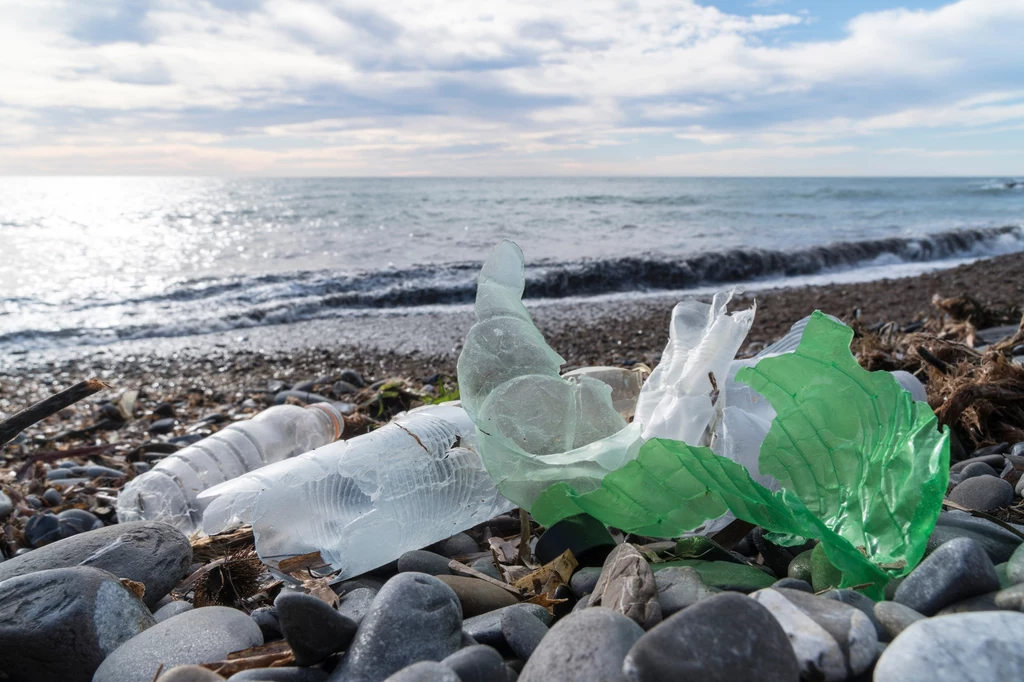 Plastik rozkładając się, przenika do środowiska