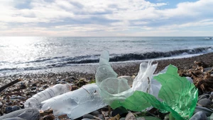 Badanie: Ludzkość wyprodukowała już 10 mld ton plastiku