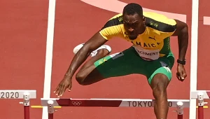 Hansle Parchment