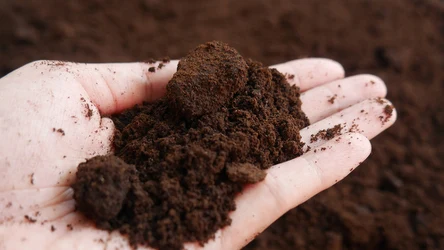 Mielona kawa pozostanie świeża i aromatyczna, jeśli będziesz przechowywać ją w słoiku wraz z czekoladą